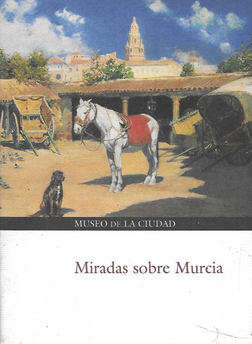 24263 510x696 - MIRADAS SOBRE MURCIA MUSEO DE LA CIUDAD