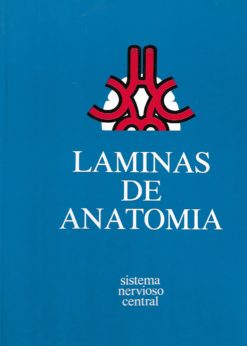 42377 247x346 - LAMINAS DE ANATOMIA SISTEMA NERVIOSO CENTRAL