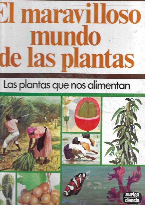 23579 510x721 - EL MARAVILLOSO MUNDO DE LAS PLANTAS LAS PLANTAS QUE NOS ALIMENTAN
