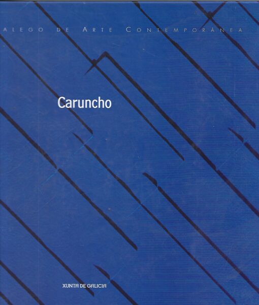 48873 510x601 - CENTRO GALEGO DE ARTE CONTEMPORANEA CARUNCHO