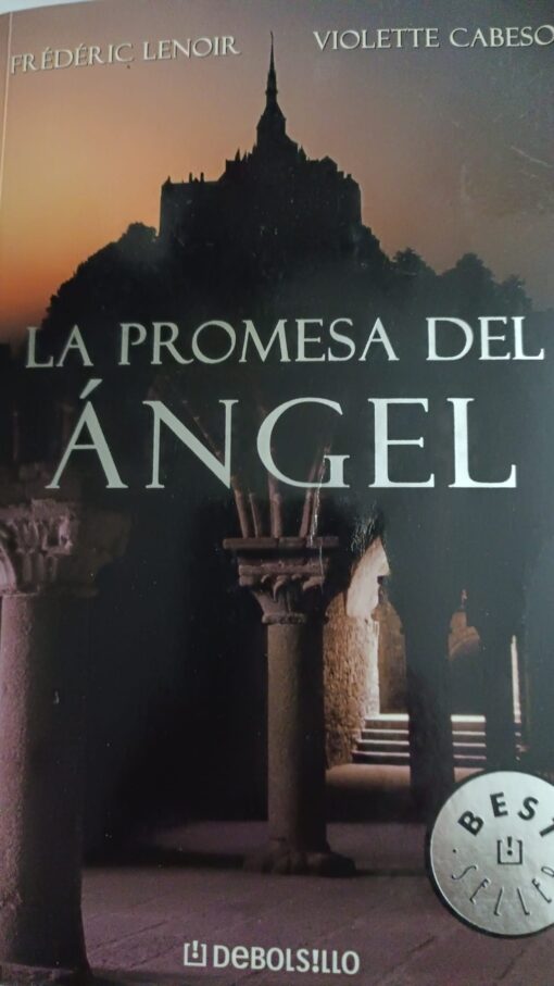 07243 510x907 - LA PROMESA DEL ANGEL